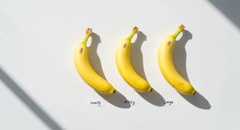 Three bananas of different sizes with weight labels on white surface